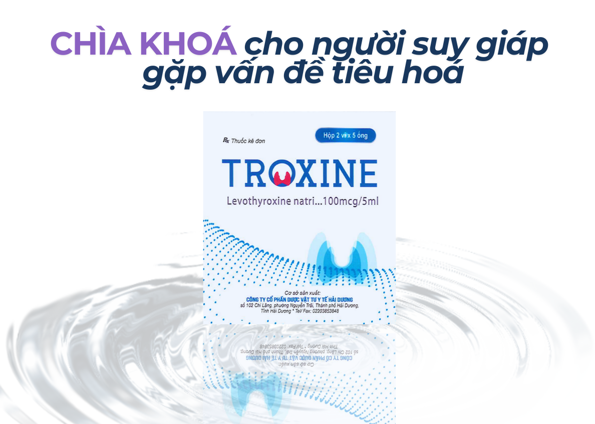 Chấm Dứt Nỗi Lo Hấp Thu Kém: Giải Pháp Vàng Cho Người Suy Giáp Kèm Bệnh Đường Tiêu Hóa
